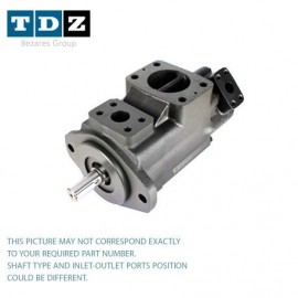 Double Vane Pump 02-137172-CCR