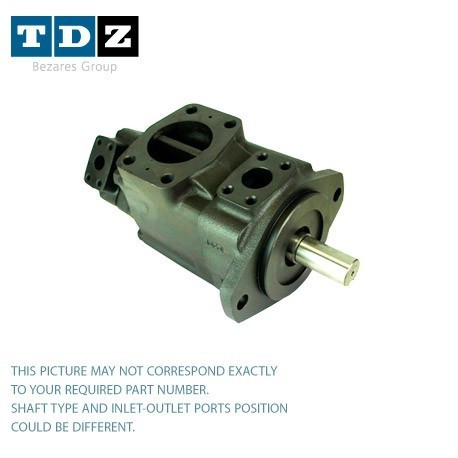 Double Vane Pump 02-137302-CCR