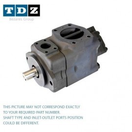 Double Vane Pump 02-137363-CCR