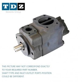 Double Vane Pump 572046-CC